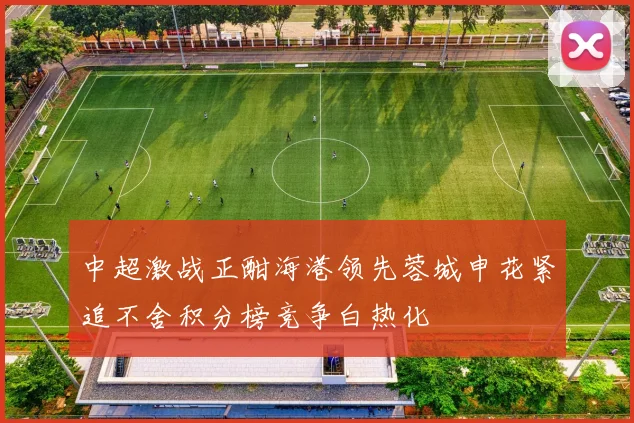 中超激战正酣海港领先蓉城申花紧追不舍积分榜竞争白热化